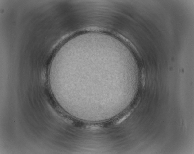 X0000084030208200703161814