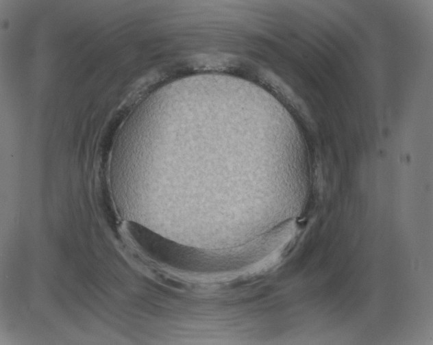 X0000084030209200703161814