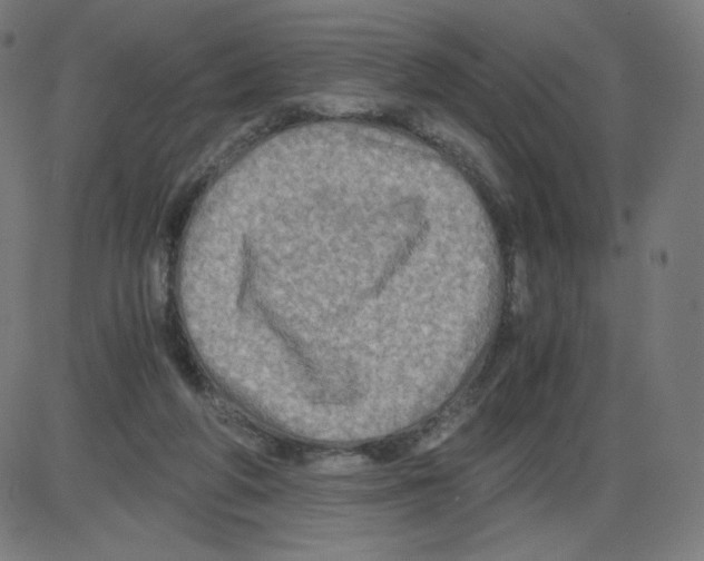 X0000084030210200703161814