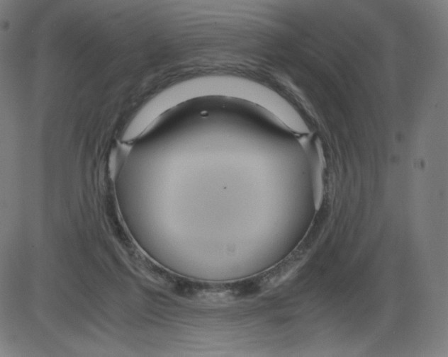 X0000084030213200703161814