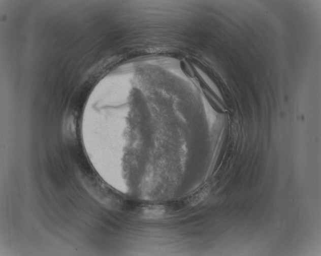 X0000084030214200703161814