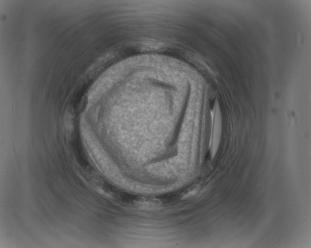 X0000084030215200703161814