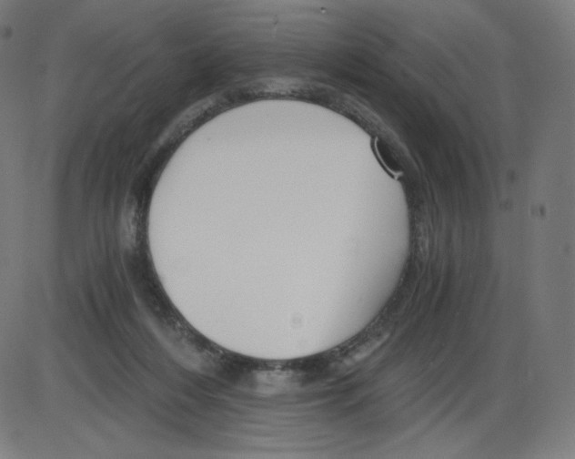 X0000084030216200703161814