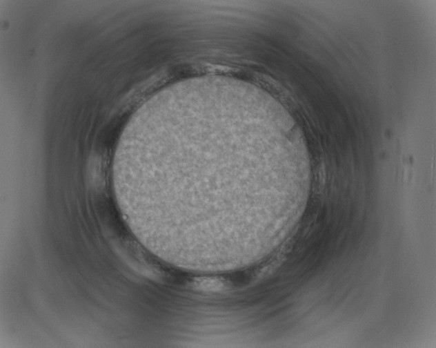 X0000084030218200703161814