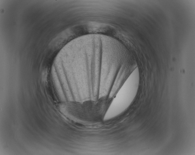 X0000084030219200703161814