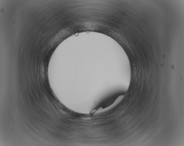 X0000084030220200703161814