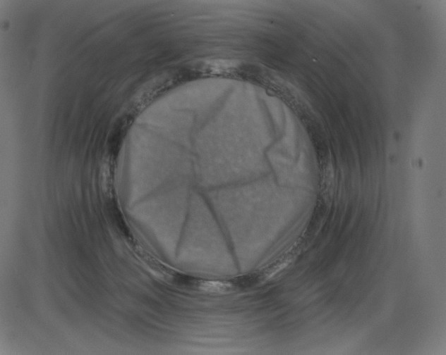 X0000084030222200703161814