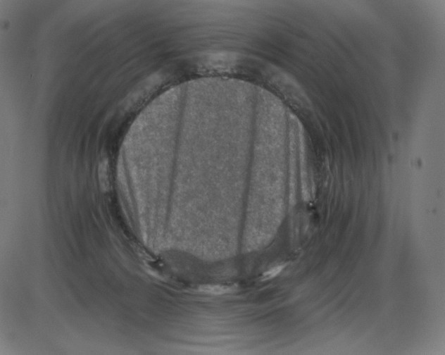 X0000084030224200703161814