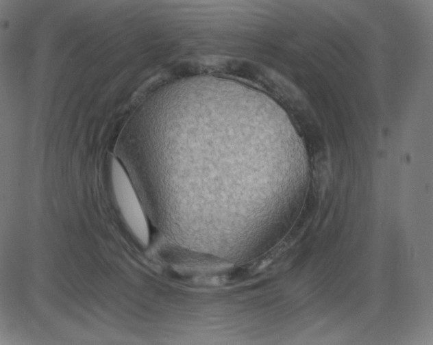 X0000084030225200703161814