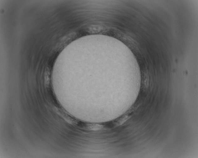 X0000084030226200703161814