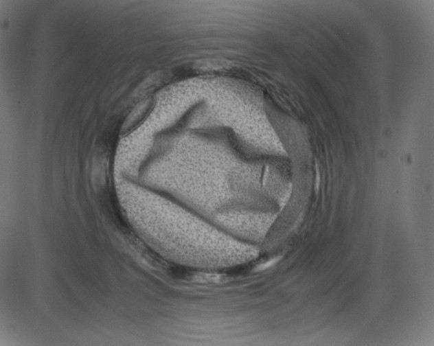 X0000084030227200703161814