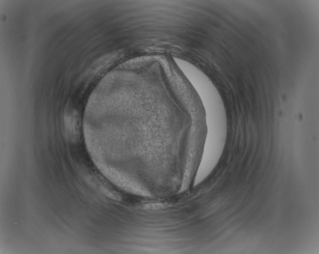 X0000084030228200703161814