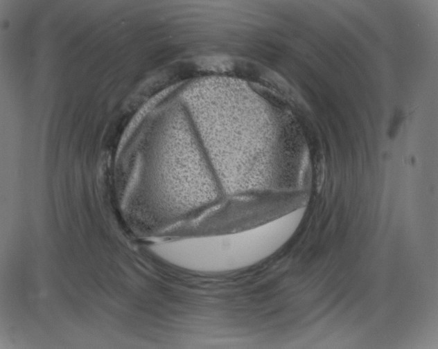 X0000084030229200703161814