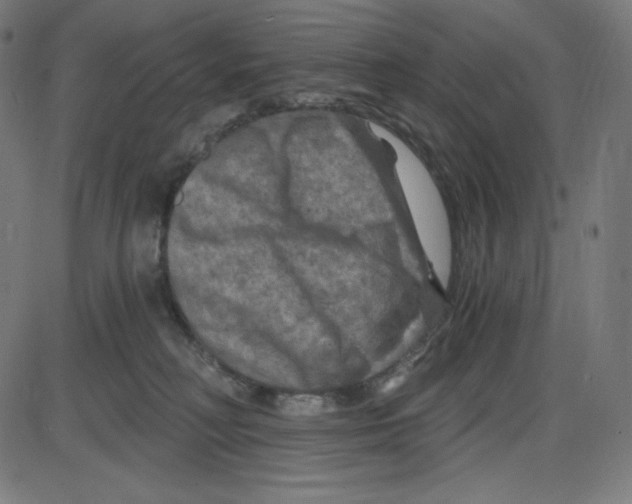 X0000084030230200703161814