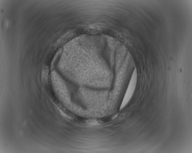 X0000084030231200703161814