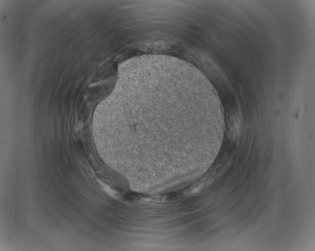 X0000084030232200703161814