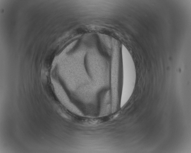 X0000084030235200703161814