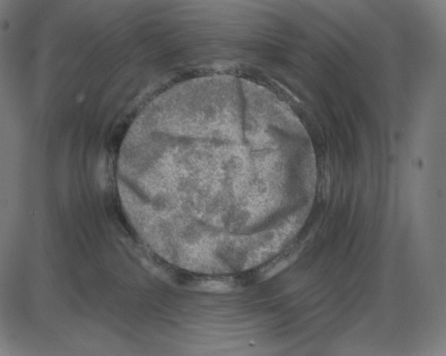 X0000084030236200703161814