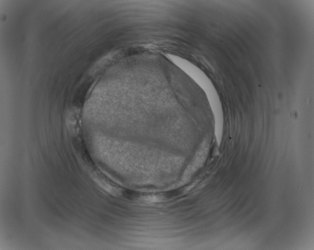 X0000084030237200703161814