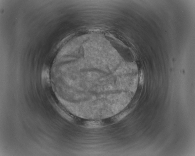 X0000084030238200703161814