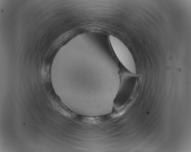 X0000084030239200703161814