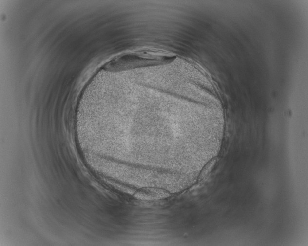 X0000084030241200703161813