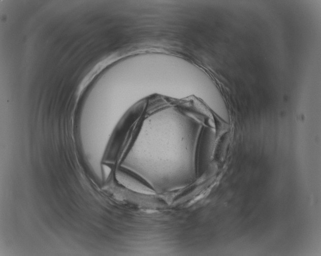 X0000084030244200703161813