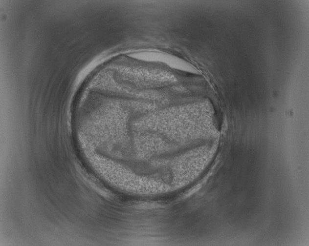 X0000084030246200703161813