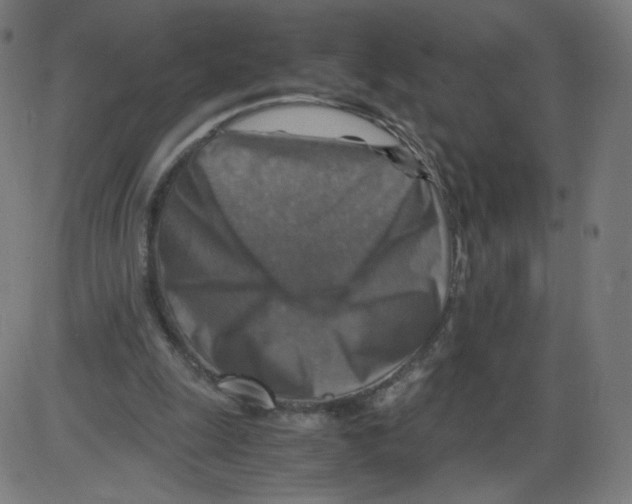 X0000084030247200703161813