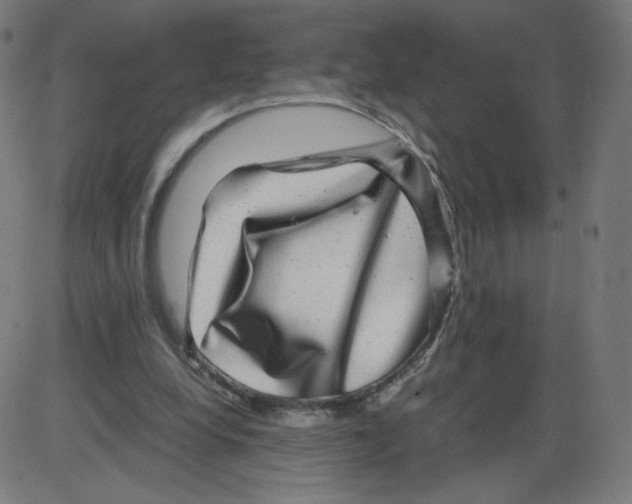 X0000084030248200703161813