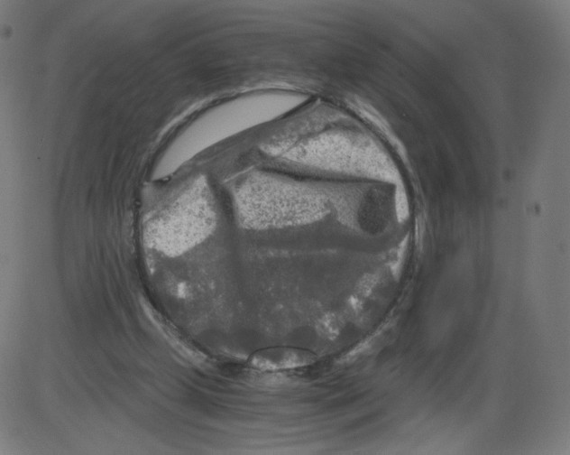 X0000084030249200703161813