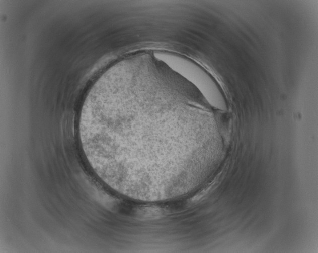 X0000084030253200703161813