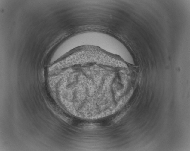 X0000084030254200703161813