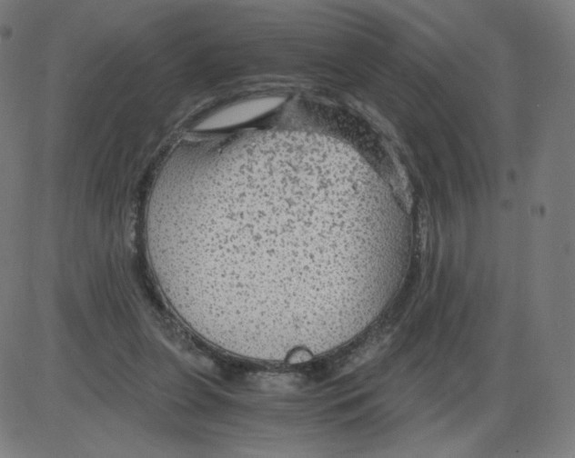 X0000084030255200703161813