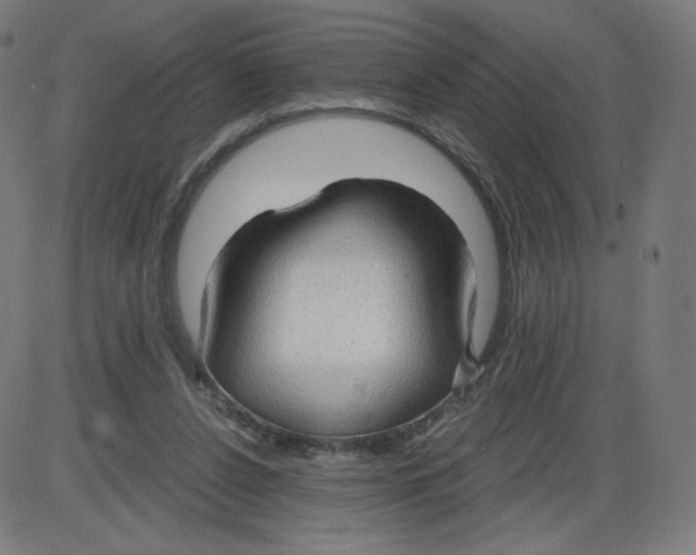 X0000084030256200703161813