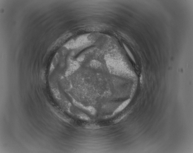 X0000084030258200703161813