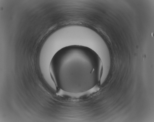 X0000084030260200703161813