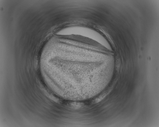 X0000084030261200703161813