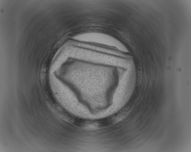 X0000084030263200703161813