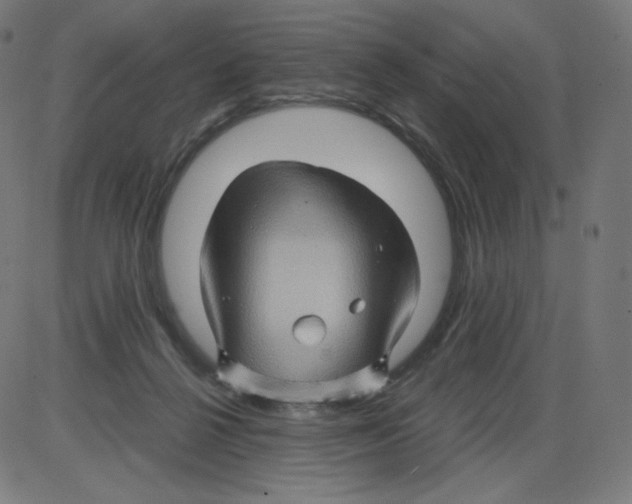 X0000084030264200703161813