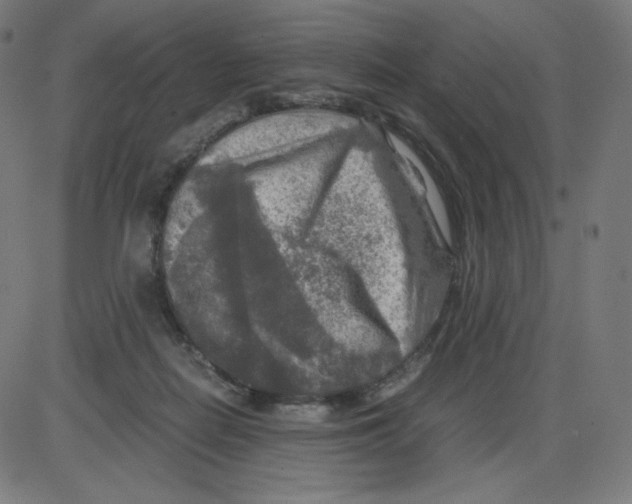 X0000084030266200703161813