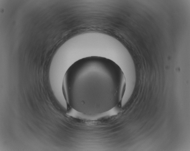 X0000084030268200703161813