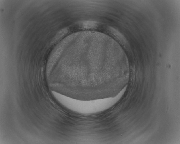 X0000084030269200703161813