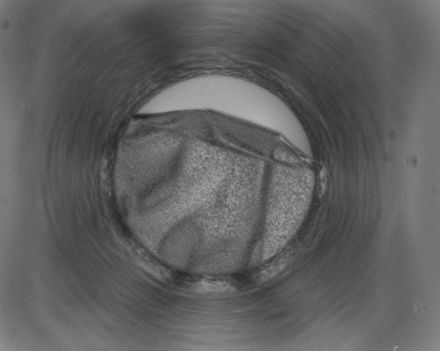 X0000084030270200703161813