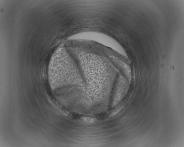 X0000084030272200703161813