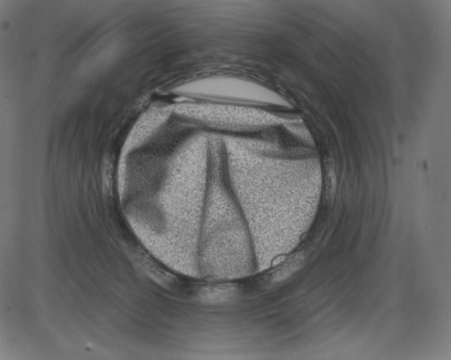 X0000084030274200703161813