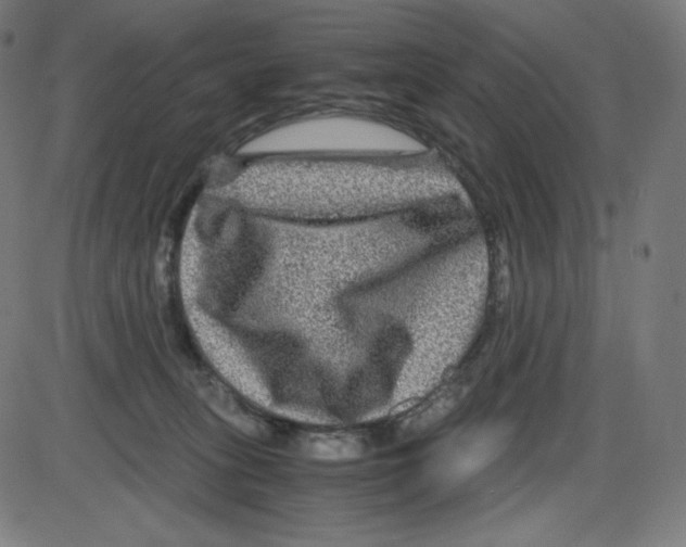 X0000084030275200703161813