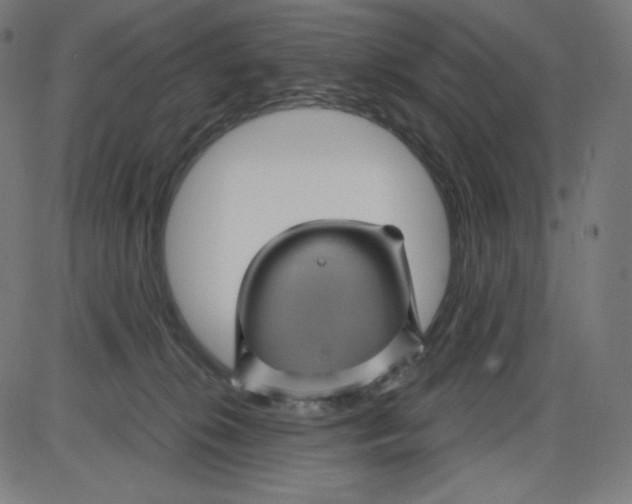 X0000084030276200703161813