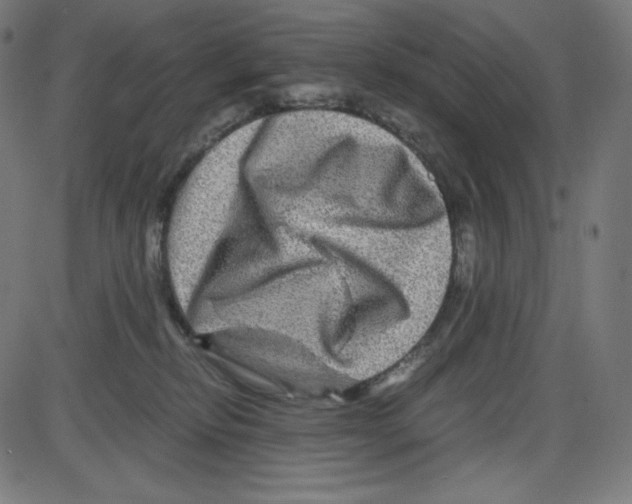 X0000084030278200703161813