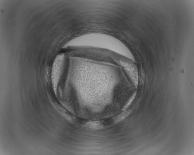 X0000084030280200703161813